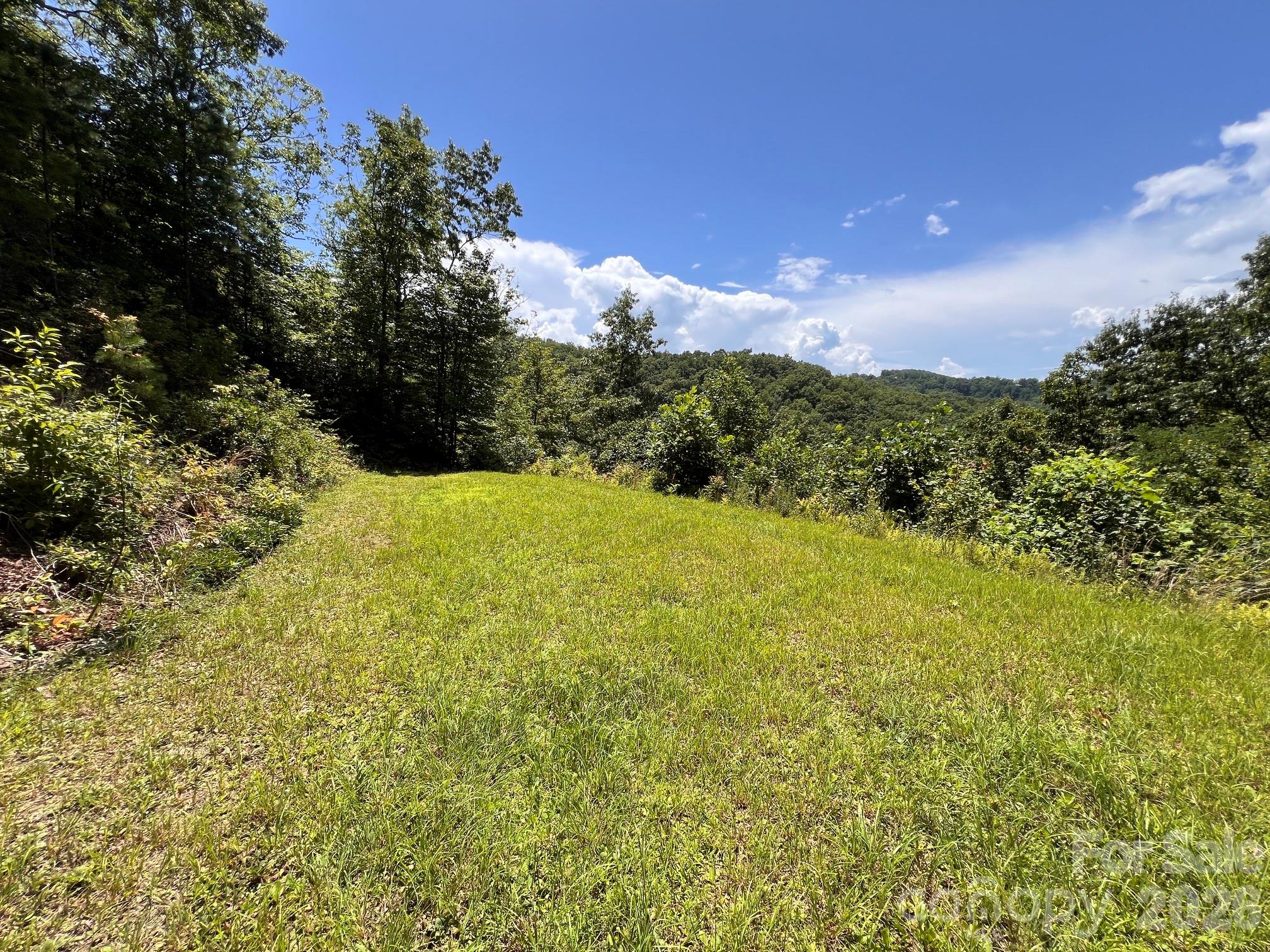 Acreage at Lot 14 Fontana Ridge Road, Bryson City, photo 4 of 7