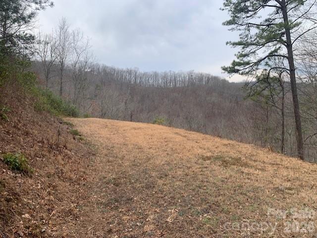 Acreage at Lot 14 Fontana Ridge Road, Bryson City, photo 5 of 7