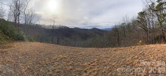 Acreage at Lot 14 Fontana Ridge Road, Bryson City, photo 6 of 7