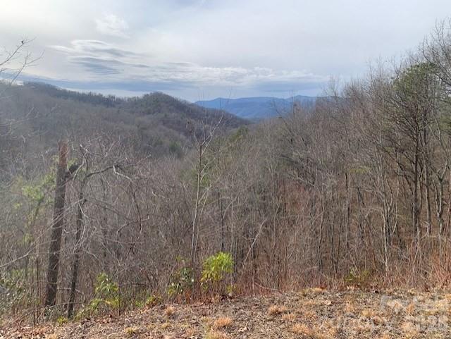 Acreage at Lot 14 Fontana Ridge Road, Bryson City, photo 7 of 7