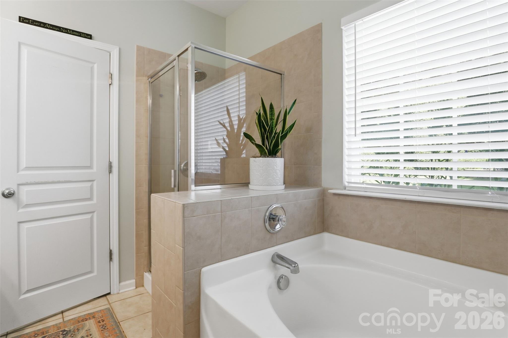 Single Family Residence at 508 Sugar Tree Drive, Rock Hill, photo 11 of 33