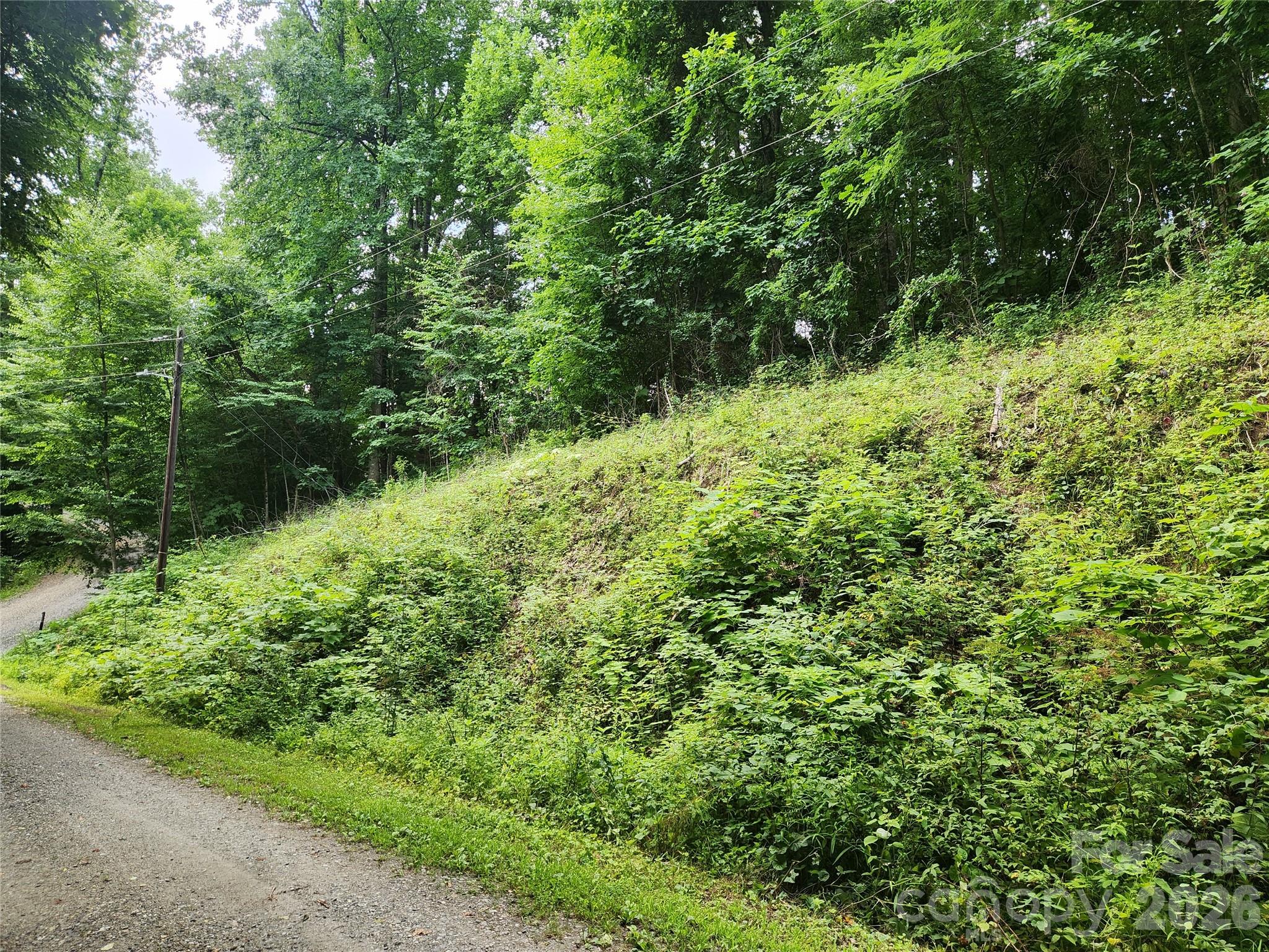 Lot at 000 Jacks Knob Road, Weaverville, photo 2 of 5