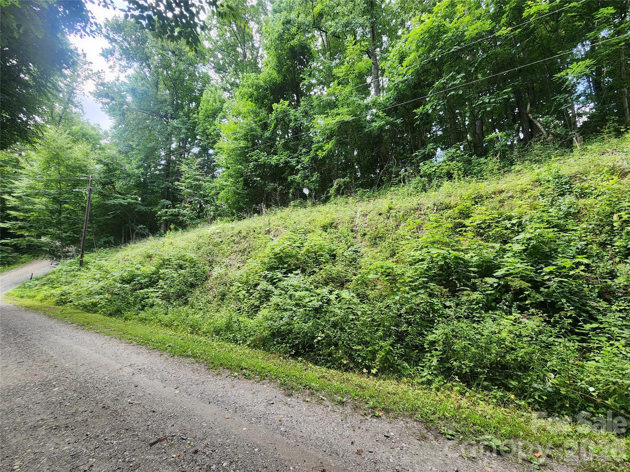 Lot at 000 Jacks Knob Road, Weaverville, photo 3 of 5