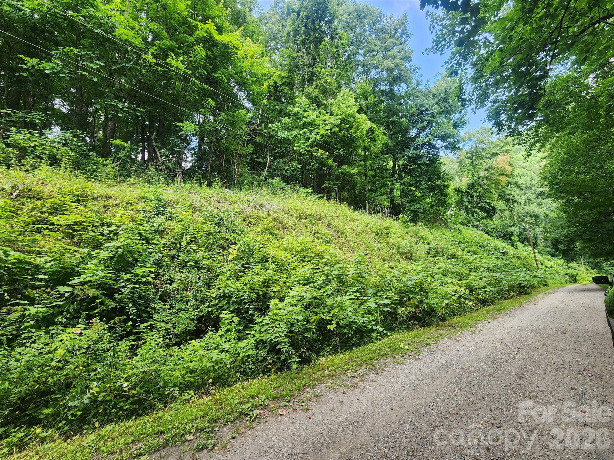 Lot at 000 Jacks Knob Road, Weaverville, photo 4 of 5