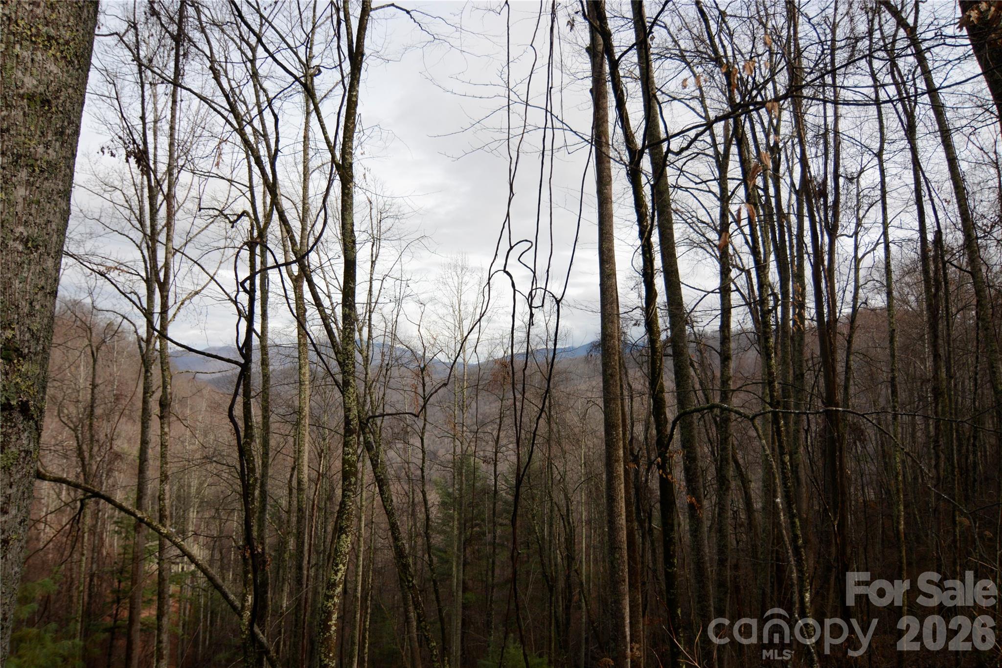 Winter View - 000 Jacks Knob Road, Weaverville