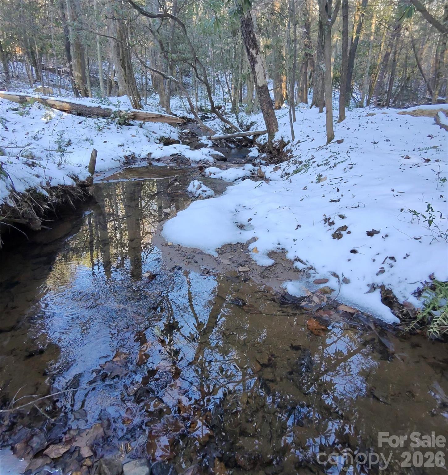 Single Family Residence at 670 Cedar Creek Road, Lake Lure, photo 9 of 46