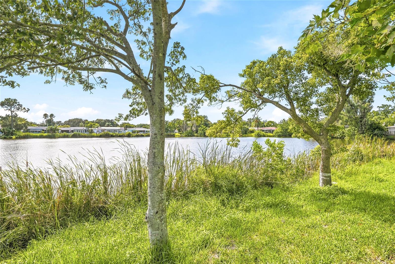 Single Family Residence at 5049 SHERRY LN, NEW PORT RICHEY, photo 19 of 25