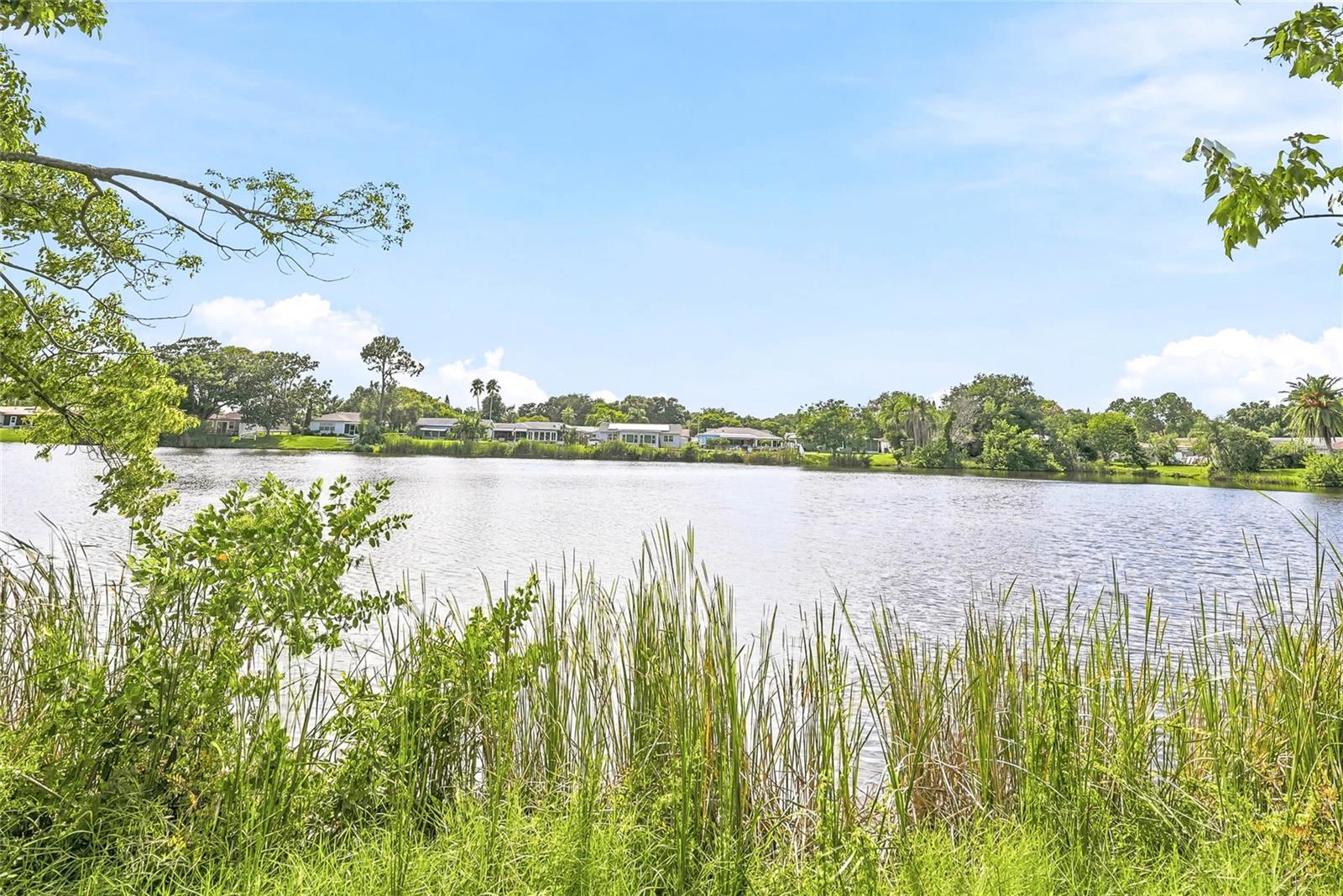 Single Family Residence at 5049 SHERRY LN, NEW PORT RICHEY, photo 20 of 25