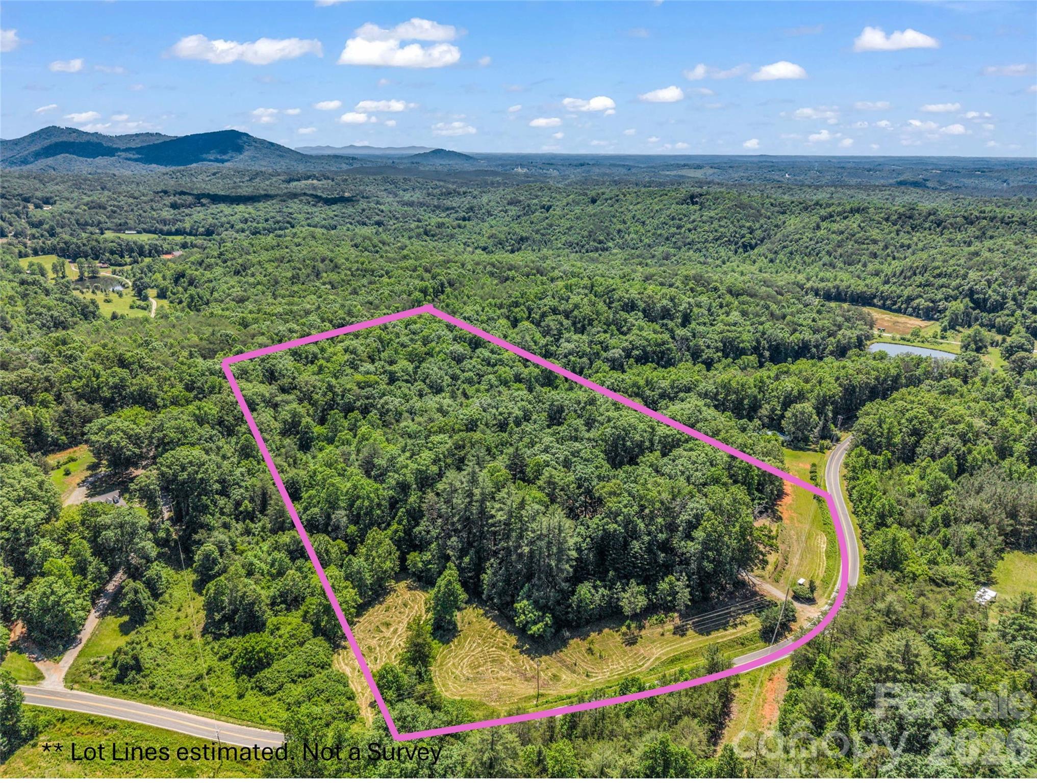 Running Water! Fruit Trees and Vines! Shaded areas. - 670 Cedar Creek Road, Lake Lure