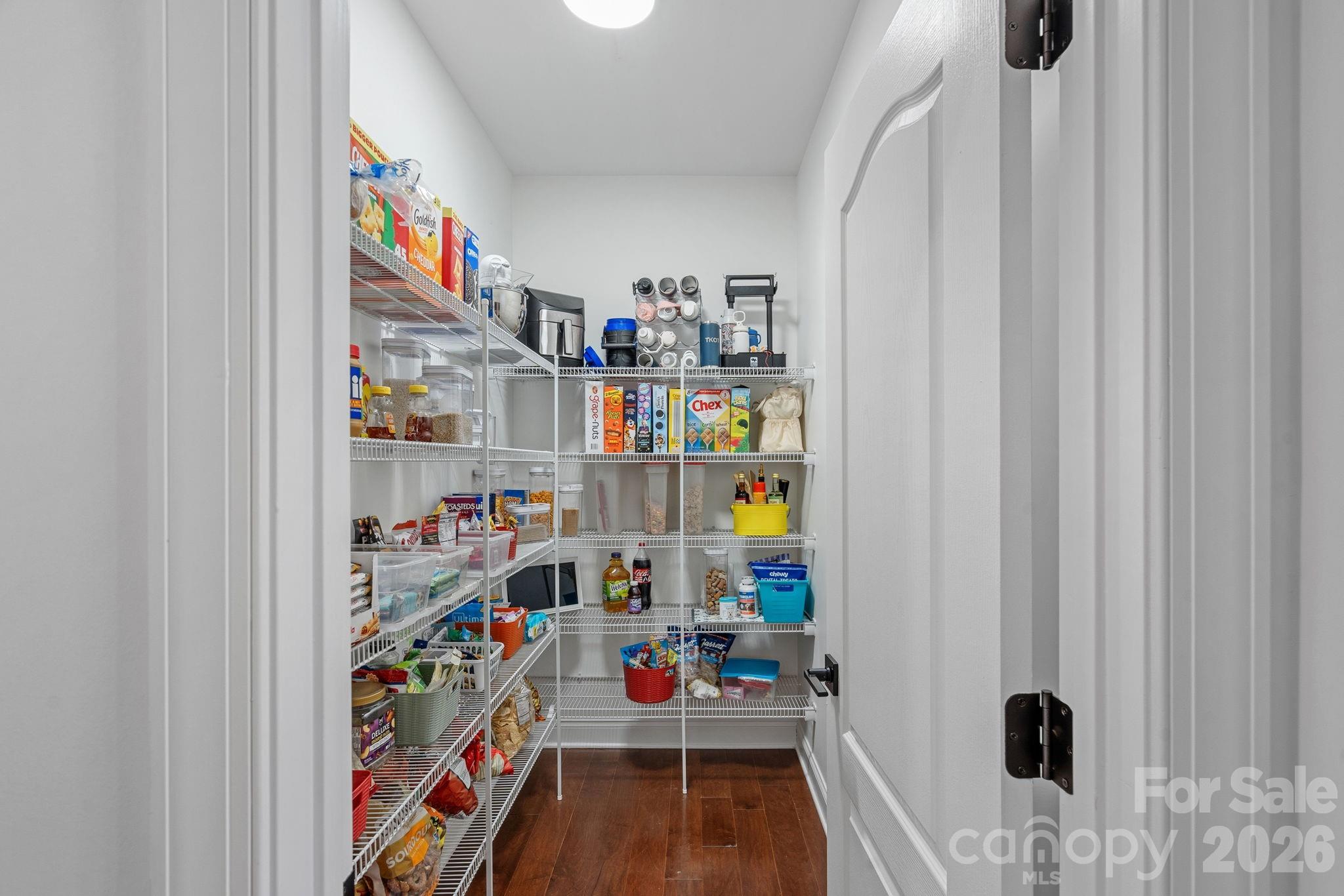 Large walk-in pantry - 13147 Union Square Drive, Huntersville