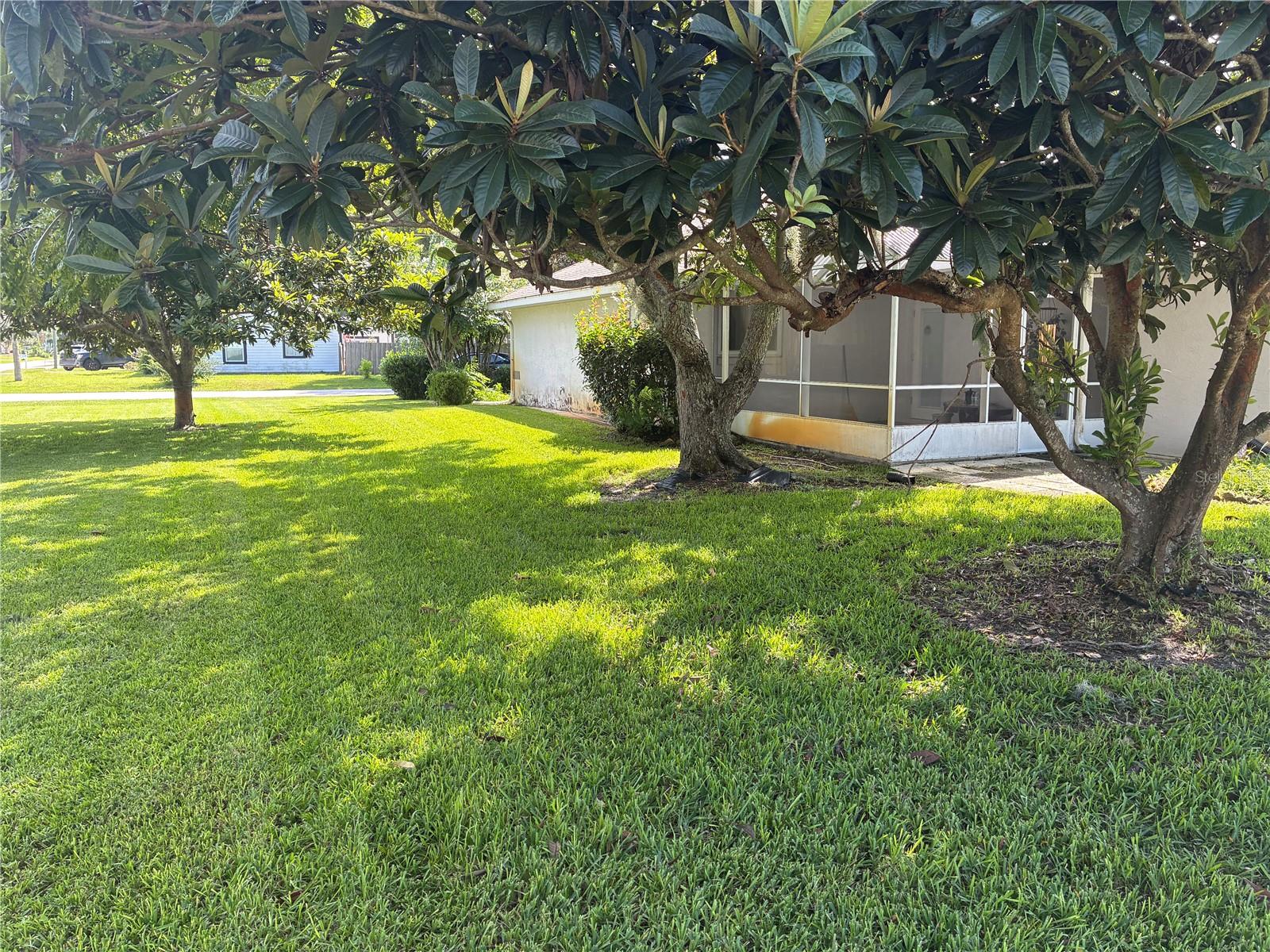 Single Family Residence at 176 BREN MAR LN, PALM COAST, photo 39 of 54