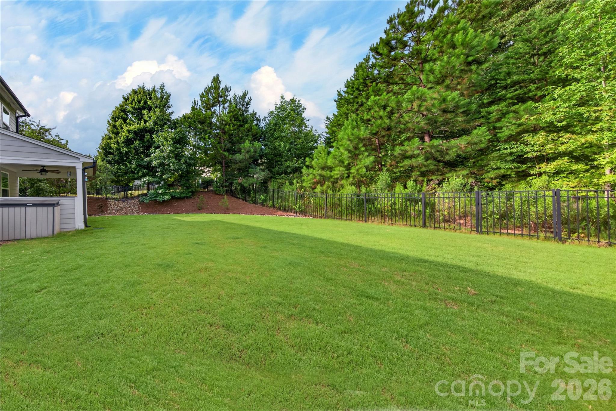 Privacy Landscaping - 1879 Felts Parkway, Fort Mill