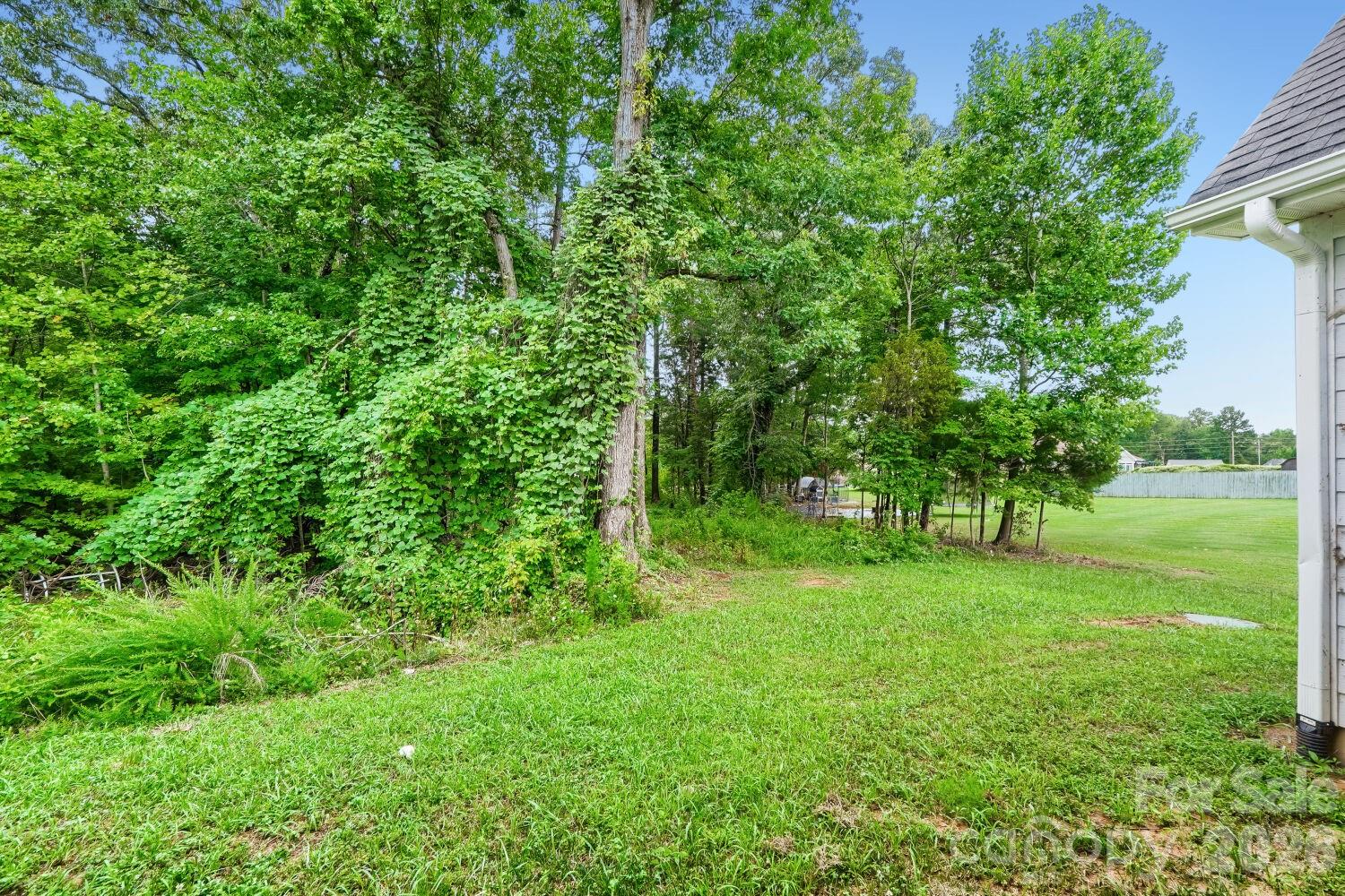 A wooded back yard offering shade. Mature trees and open lawn give the property a serene, country-like setting. - 2358 Fay Jones Road, Denver
