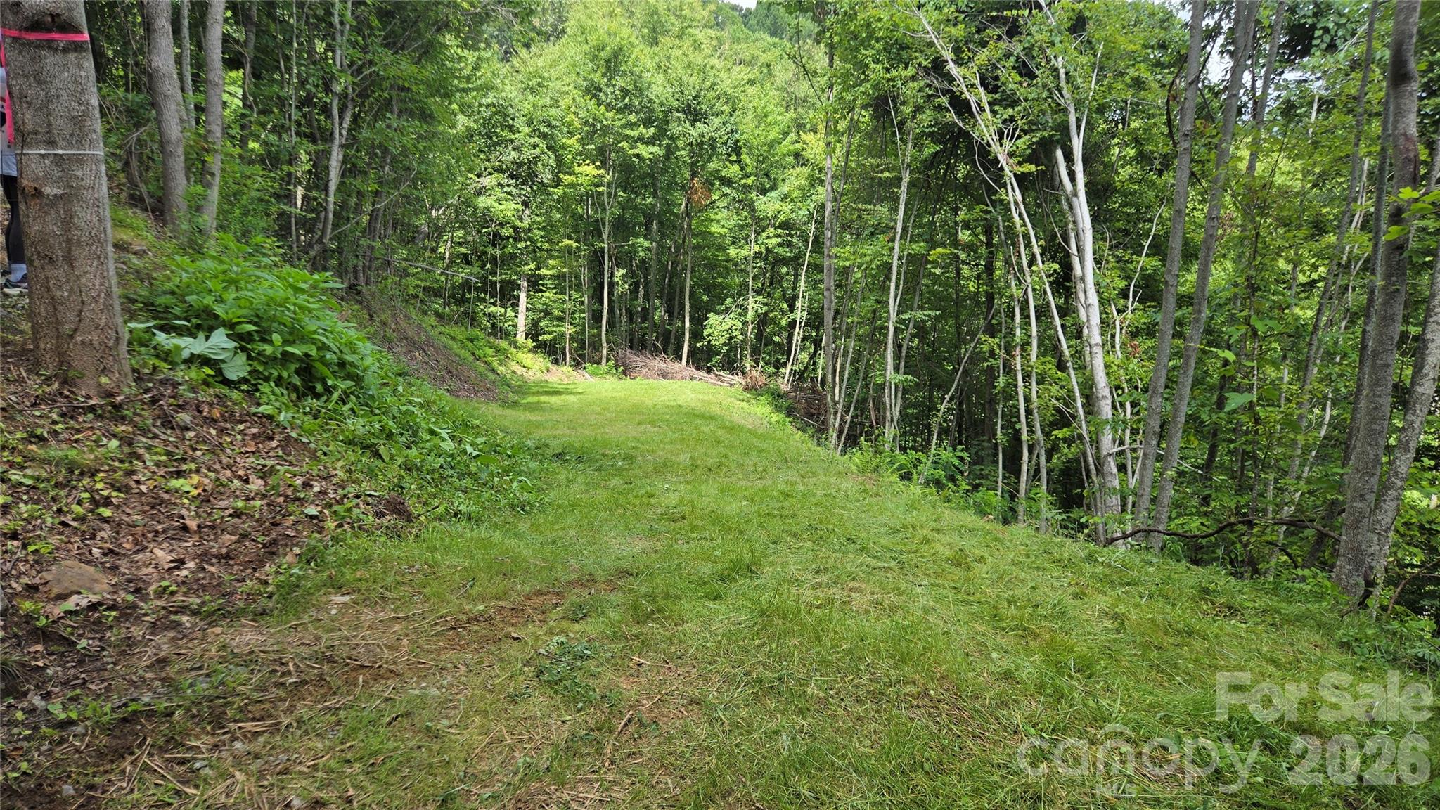 Lot at 3355 Utah Mountain Road, Waynesville, photo 6 of 26