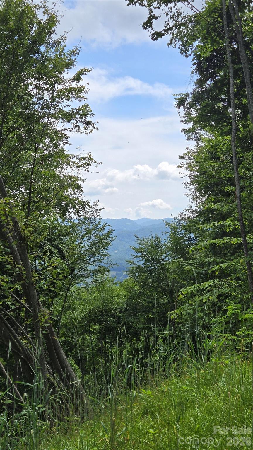 Lot at 3355 Utah Mountain Road, Waynesville, photo 4 of 26