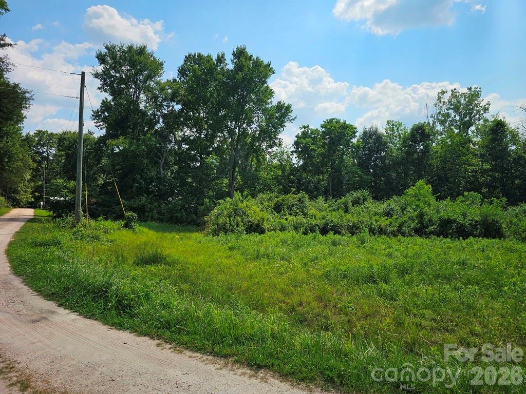 Acreage at 189 Border Road W, Rock Hill, photo 3 of 6