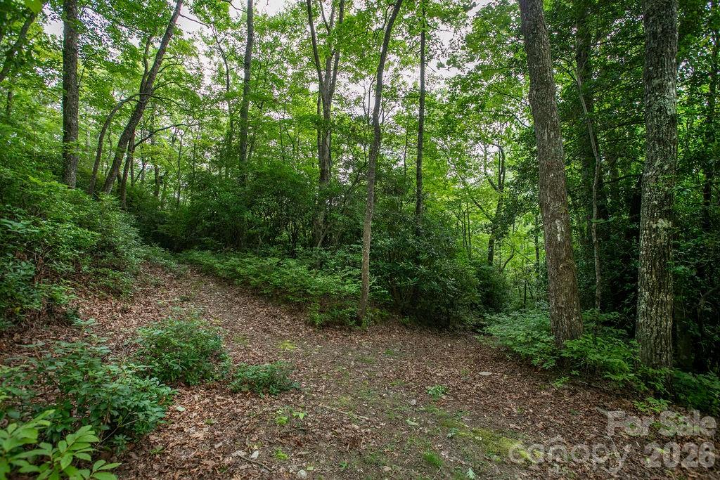 Lot at Lot 28 Big Hill Road, Brevard, photo 3 of 20