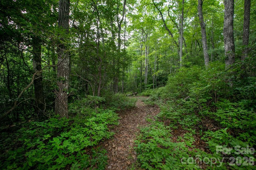 Lot at Lot 28 Big Hill Road, Brevard, photo 4 of 20