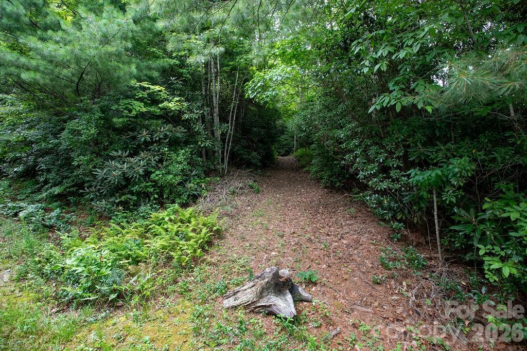 Lot at Lot 28 Big Hill Road, Brevard, photo 5 of 20