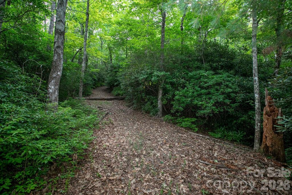 Lot at Lot 28 Big Hill Road, Brevard, photo 6 of 20