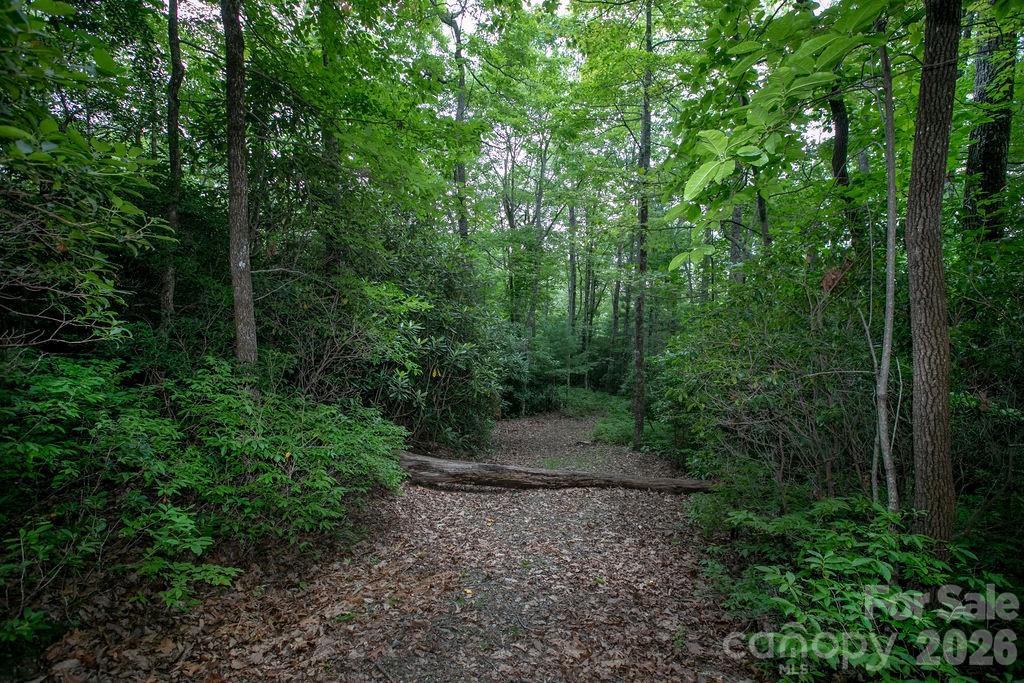 Lot at Lot 28 Big Hill Road, Brevard, photo 7 of 20
