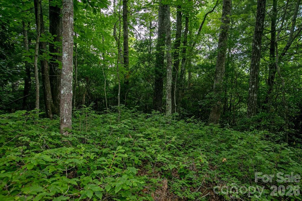 Lot at Lot 28 Big Hill Road, Brevard, photo 8 of 20