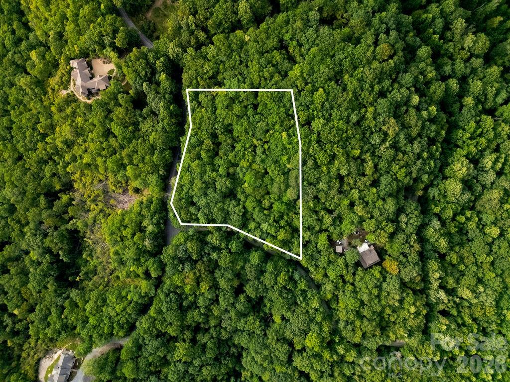 Lot at Lot 28 Big Hill Road, Brevard, photo 9 of 20