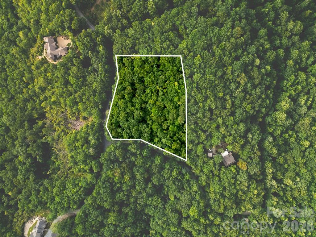Lot at Lot 28 Big Hill Road, Brevard, photo 10 of 20