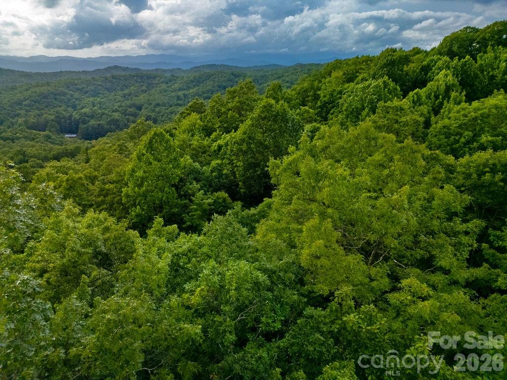 Lot at Lot 28 Big Hill Road, Brevard, photo 12 of 20