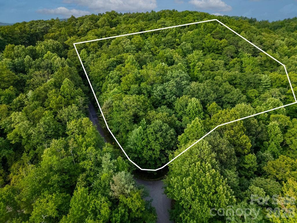 Lot at Lot 28 Big Hill Road, Brevard, photo 13 of 20