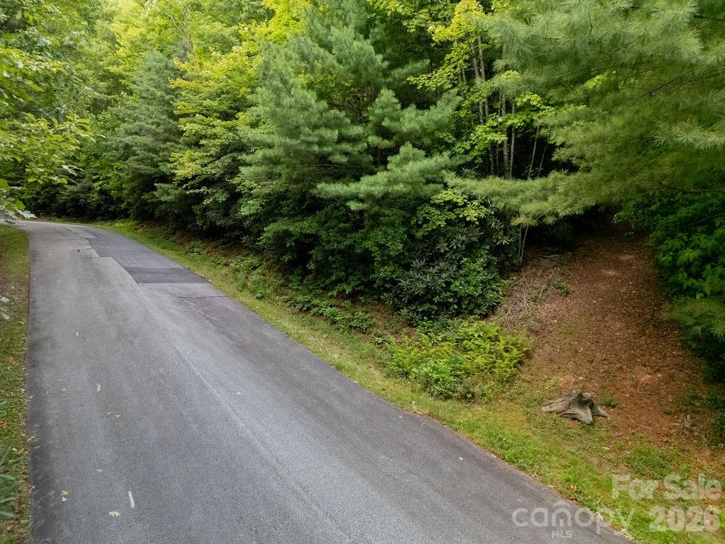 Lot at Lot 28 Big Hill Road, Brevard, photo 14 of 20