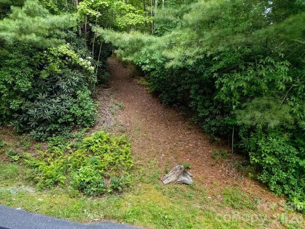 Lot at Lot 28 Big Hill Road, Brevard, photo 15 of 20