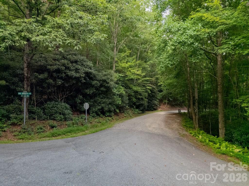 Lot at Lot 28 Big Hill Road, Brevard, photo 16 of 20