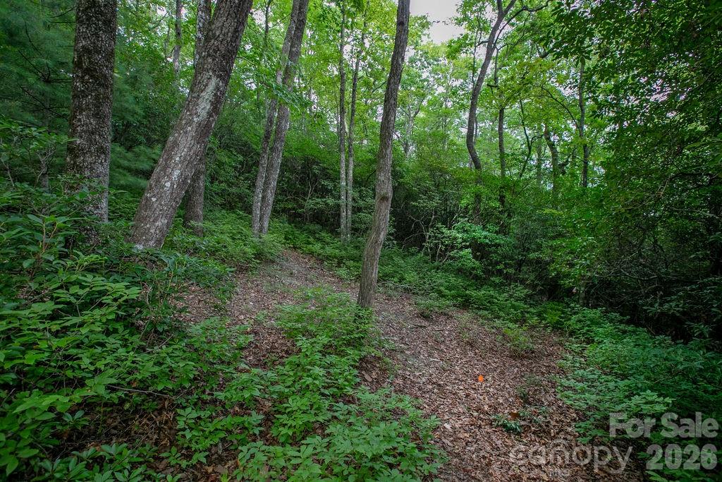 Lot at Lot 28 Big Hill Road, Brevard, photo 18 of 20