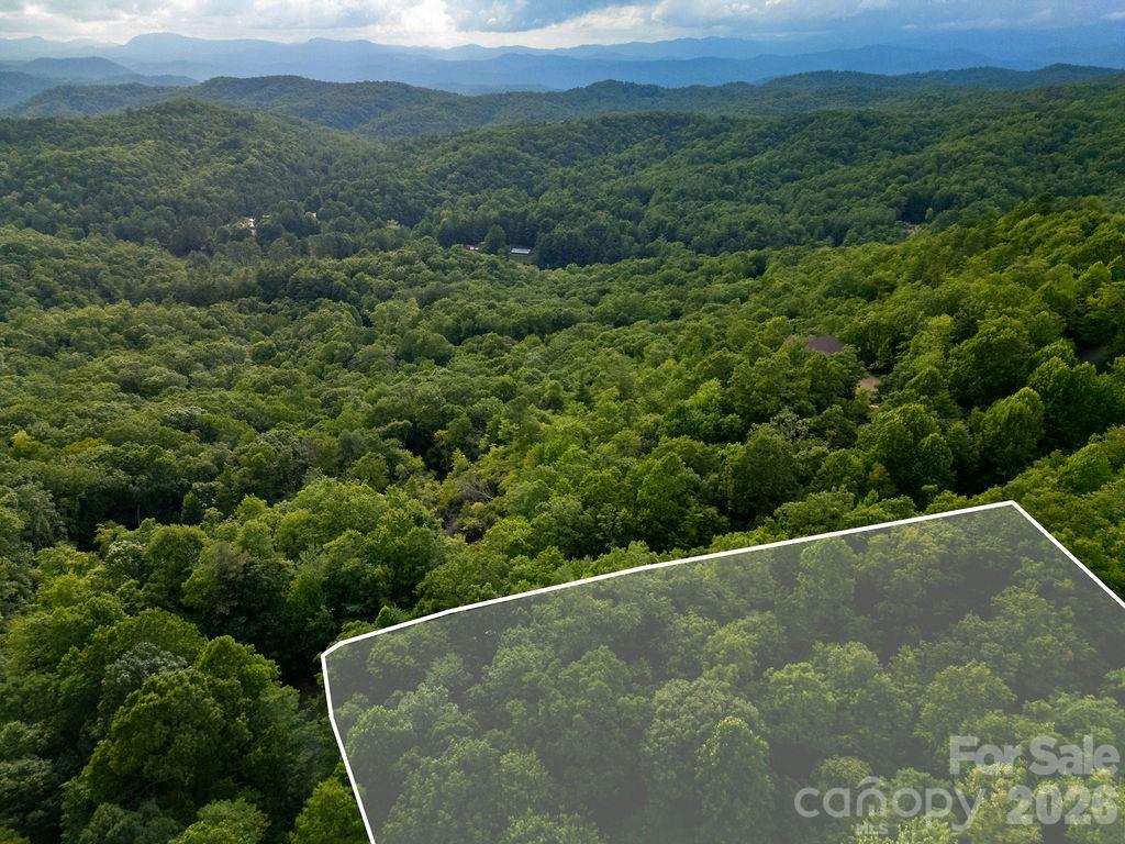 Lot at Lot 28 Big Hill Road, Brevard, photo 19 of 20