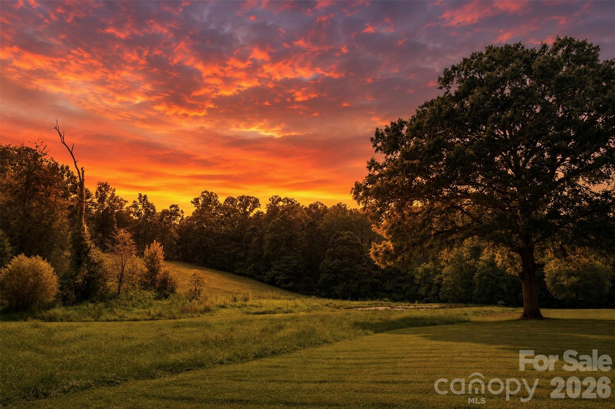 Virtual Twilight - 2399 Blackburn Bridge Road, Maiden