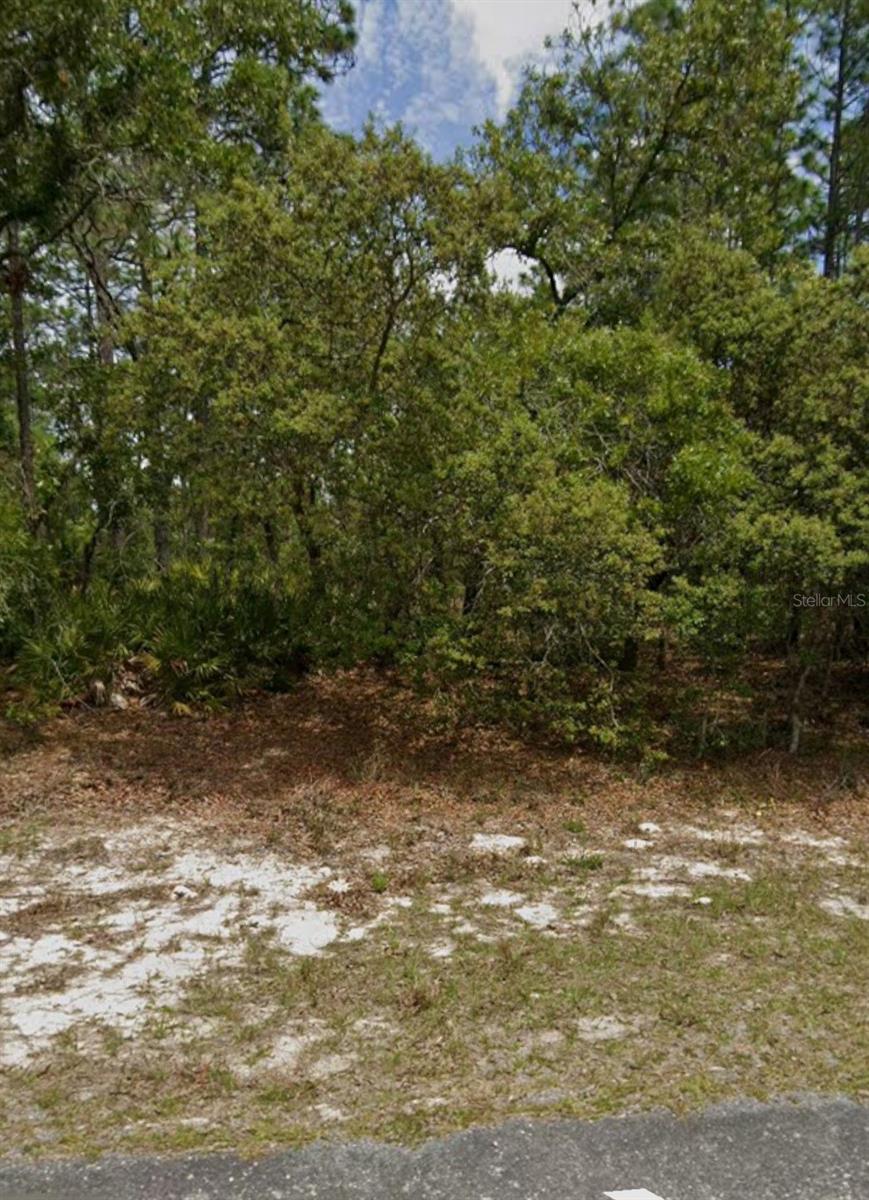 5732 N SUMMERFIELD PT