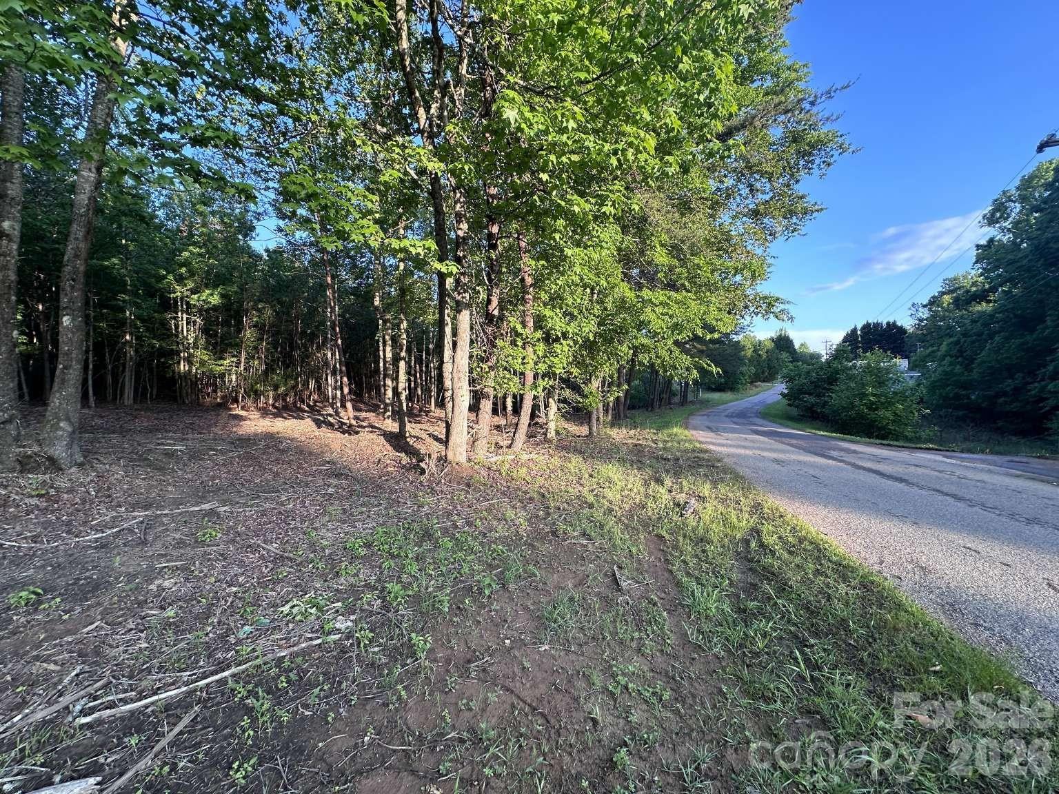 Lot at 0 Howard Arnett Road, Lenoir, photo 4 of 20