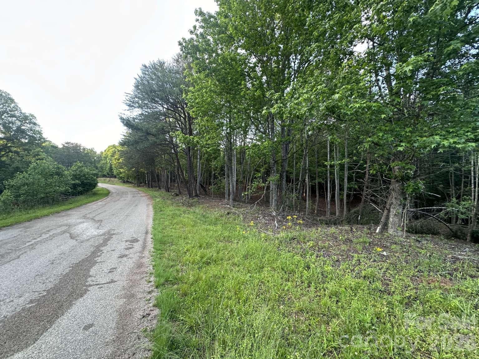 Lot at 0 Howard Arnett Road, Lenoir, photo 5 of 20