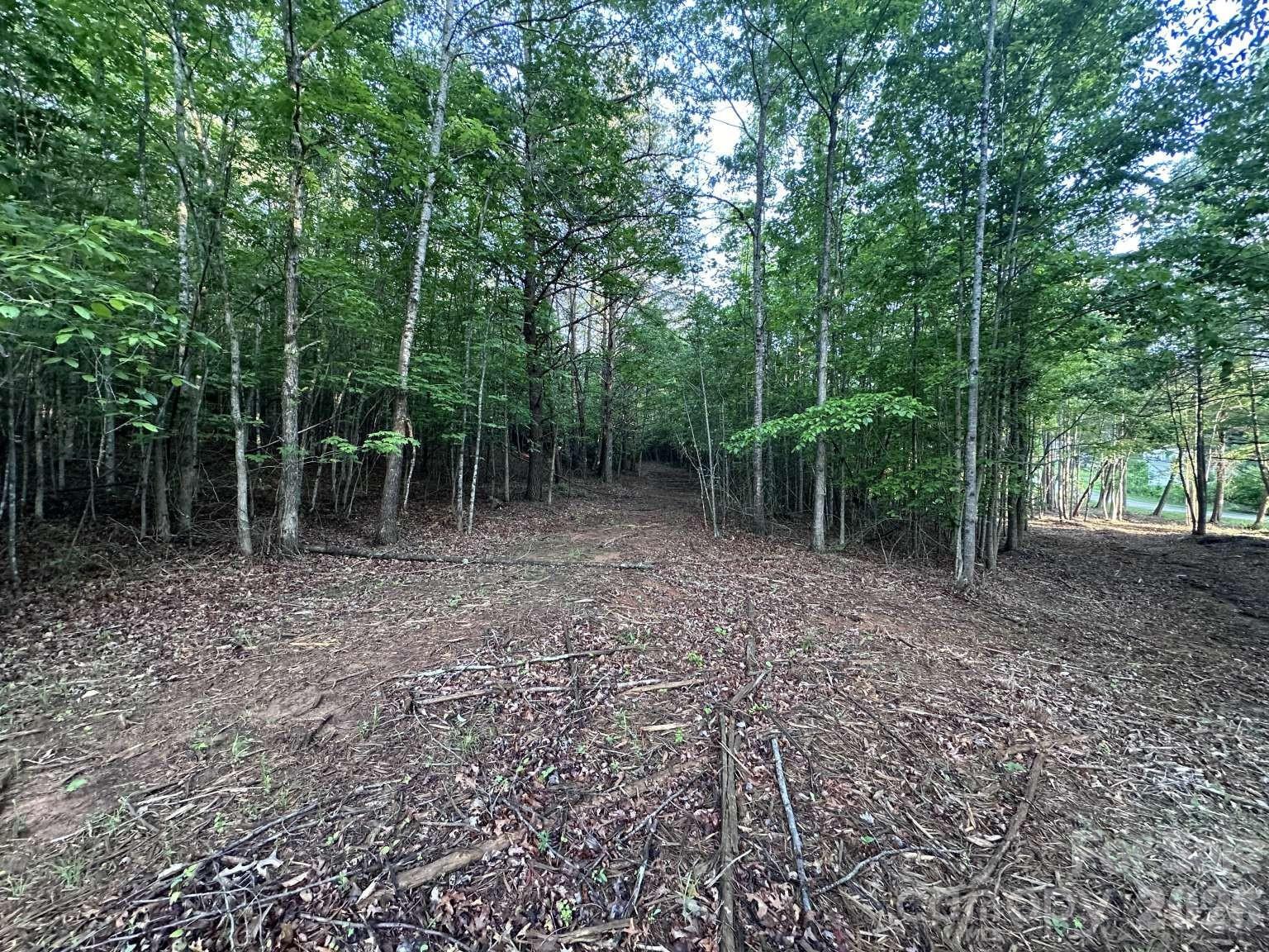 Lot at 0 Howard Arnett Road, Lenoir, photo 6 of 20