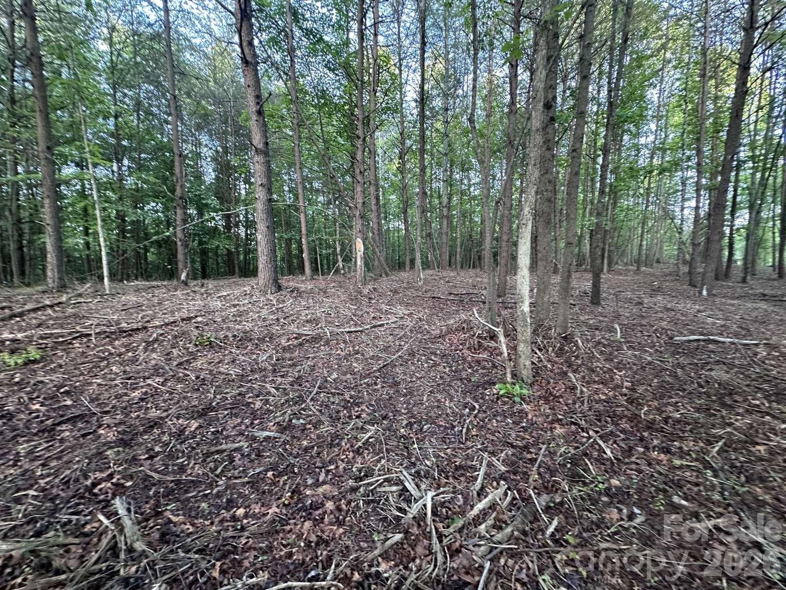 Lot at 0 Howard Arnett Road, Lenoir, photo 8 of 20
