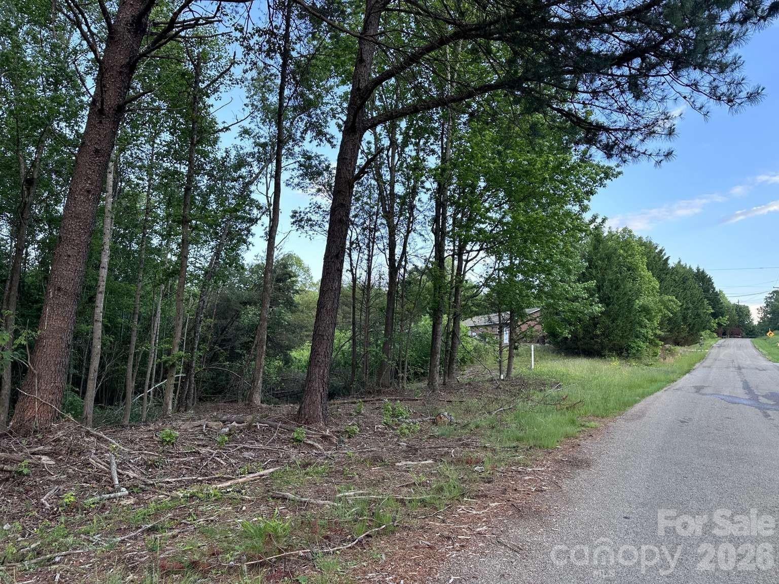 Lot at 0 Howard Arnett Road, Lenoir, photo 9 of 20