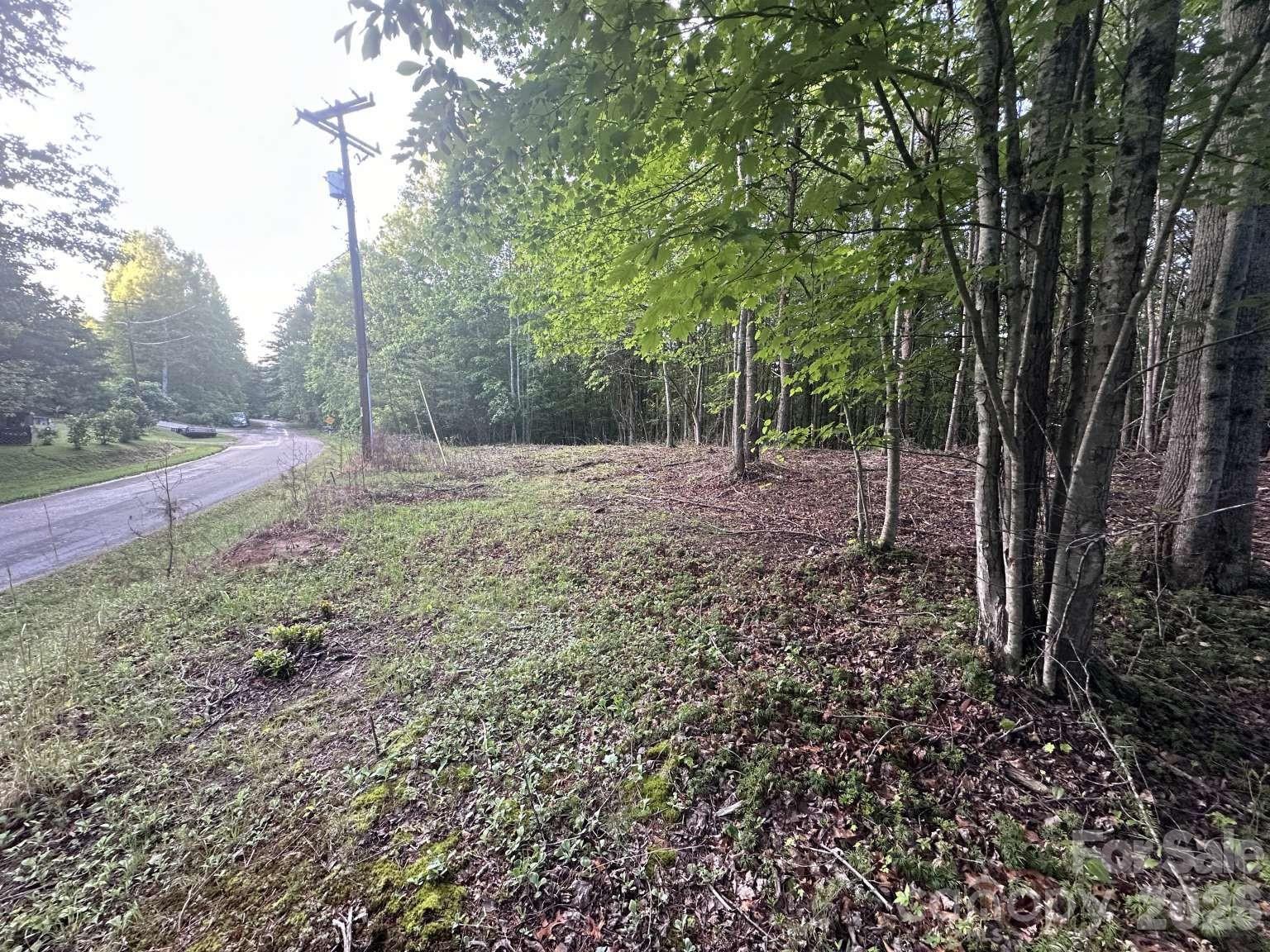 Lot at 0 Howard Arnett Road, Lenoir, photo 10 of 20