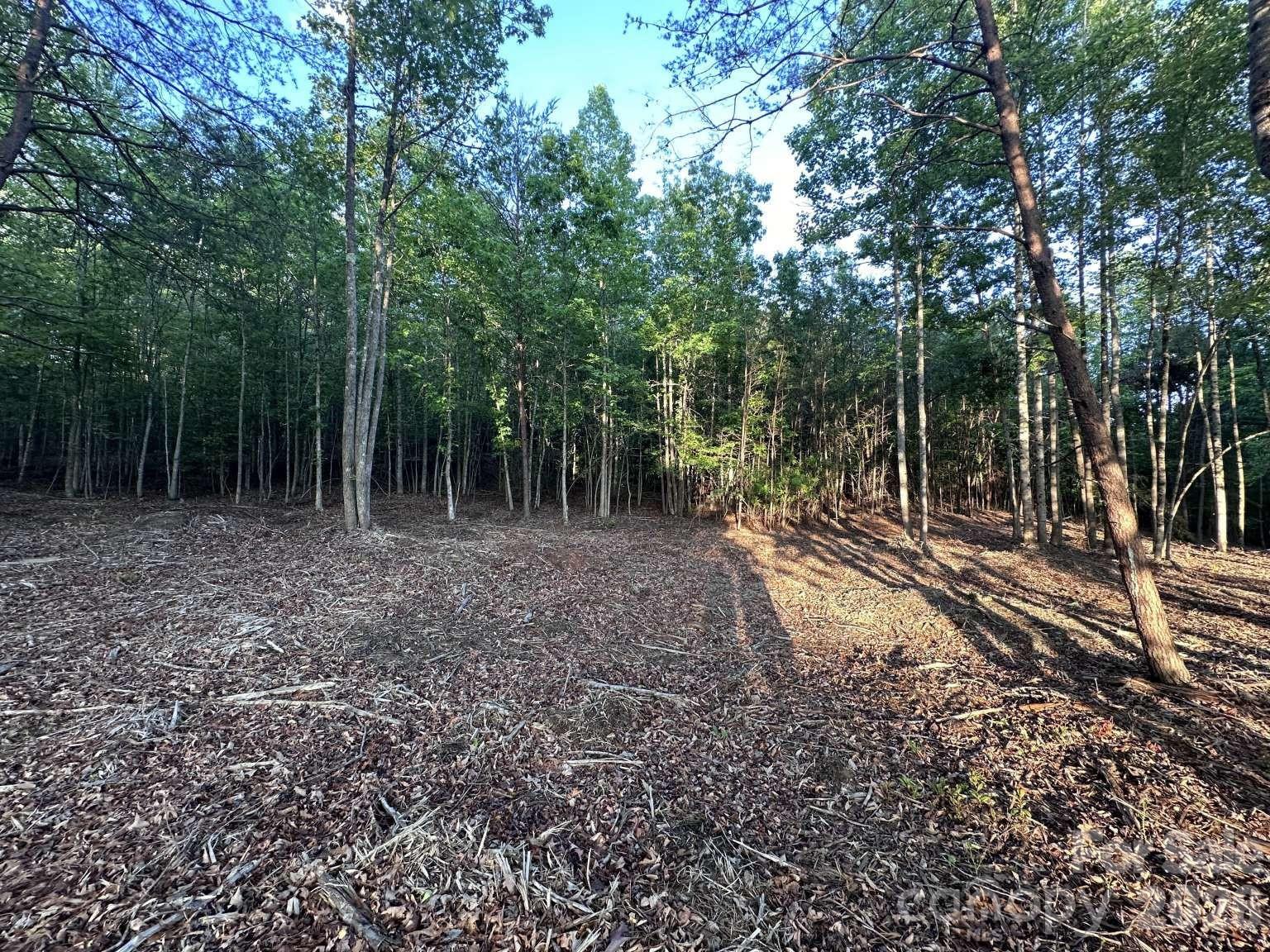 Lot at 0 Howard Arnett Road, Lenoir, photo 11 of 20