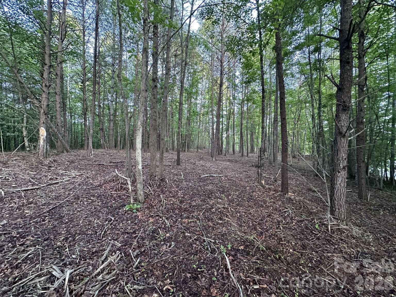 Lot at 0 Howard Arnett Road, Lenoir, photo 12 of 20