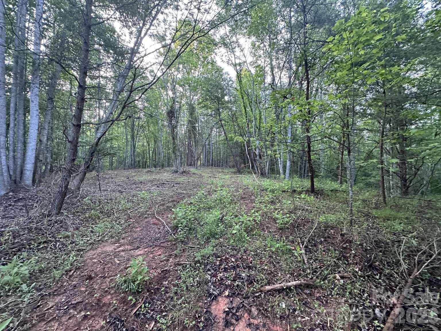 Lot at 0 Howard Arnett Road, Lenoir, photo 13 of 20