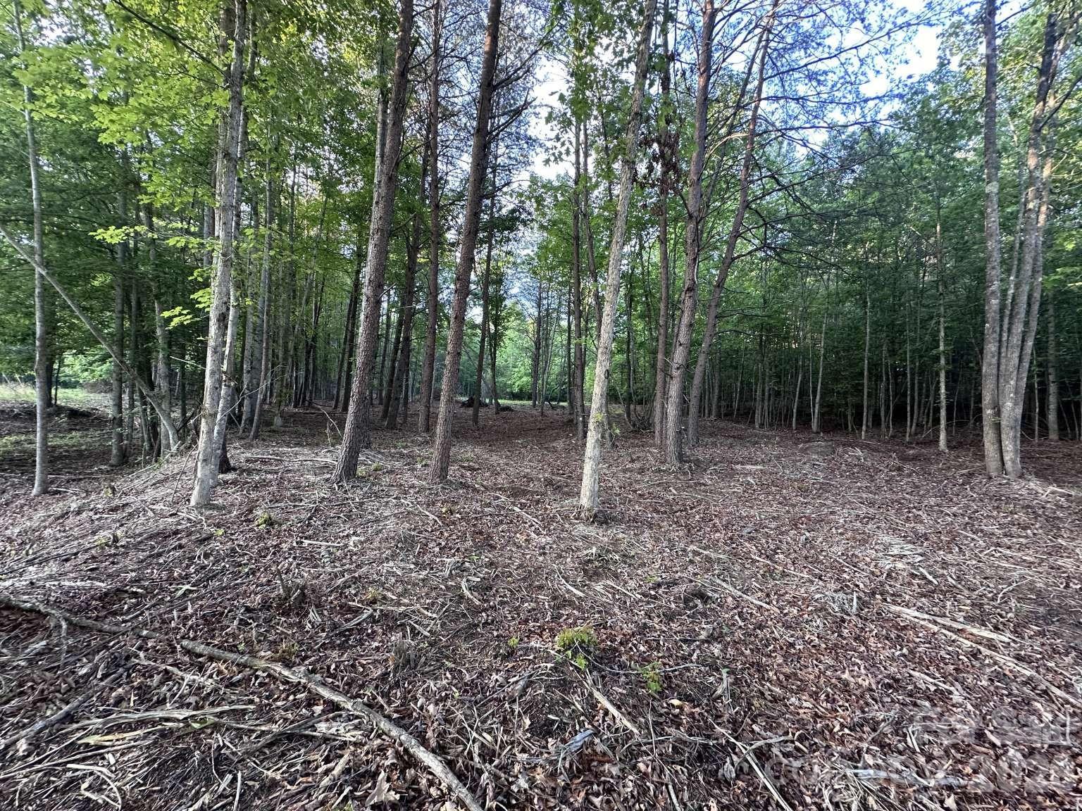 Lot at 0 Howard Arnett Road, Lenoir, photo 14 of 20
