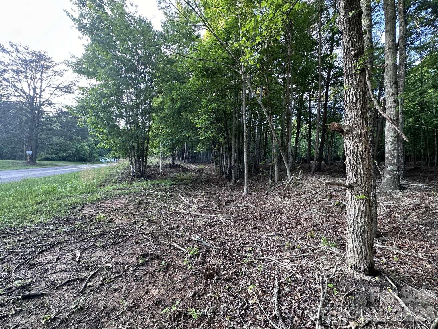 Lot at 0 Howard Arnett Road, Lenoir, photo 15 of 20
