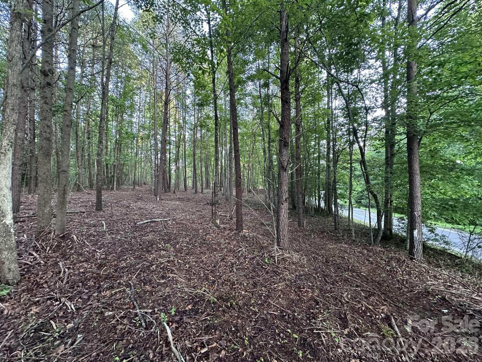 Lot at 0 Howard Arnett Road, Lenoir, photo 16 of 20