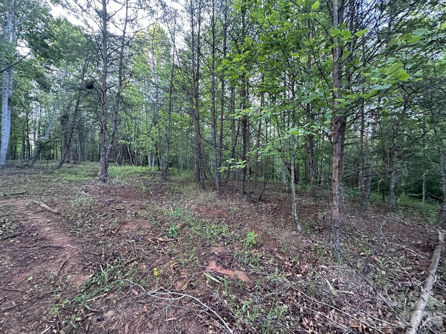 Lot at 0 Howard Arnett Road, Lenoir, photo 17 of 20